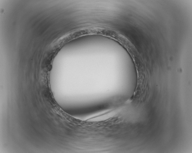 X0000086090773200704202215