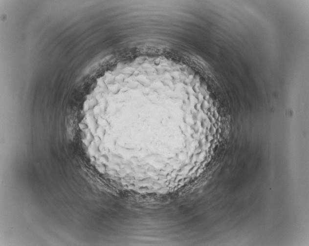 X0000086090774200704202215