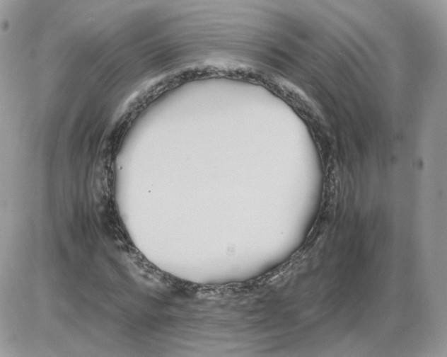 X0000086090776200704202215