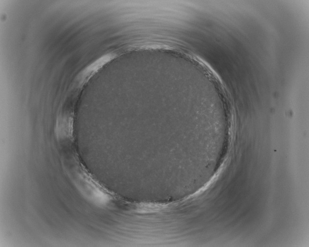 X0000086090777200704202215