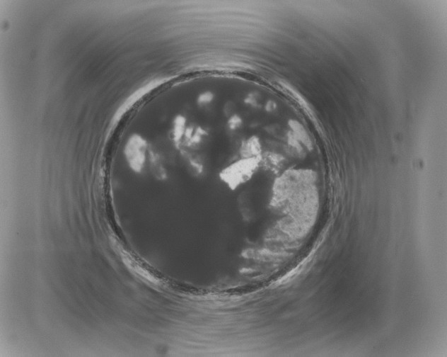 X0000086090779200704202215