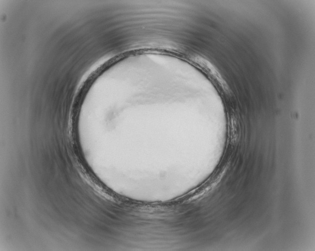 X0000086090780200704202215