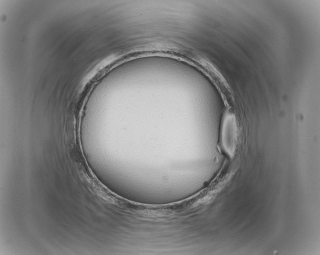 X0000086090781200704202215