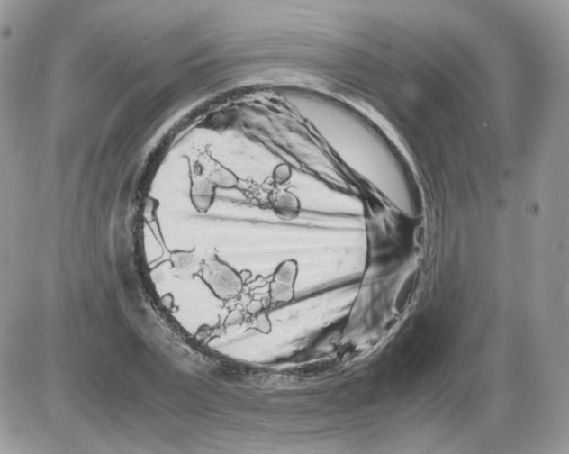 X0000086090783200704202215