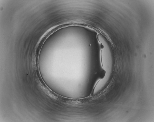 X0000086090784200704202215