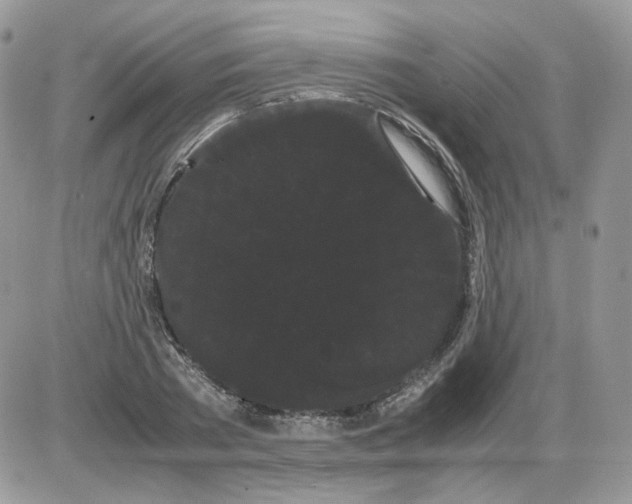 X0000086090785200704202215