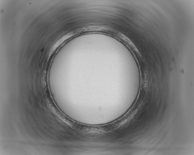 X0000086090786200704202215