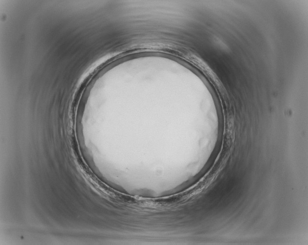 X0000086090787200704202215