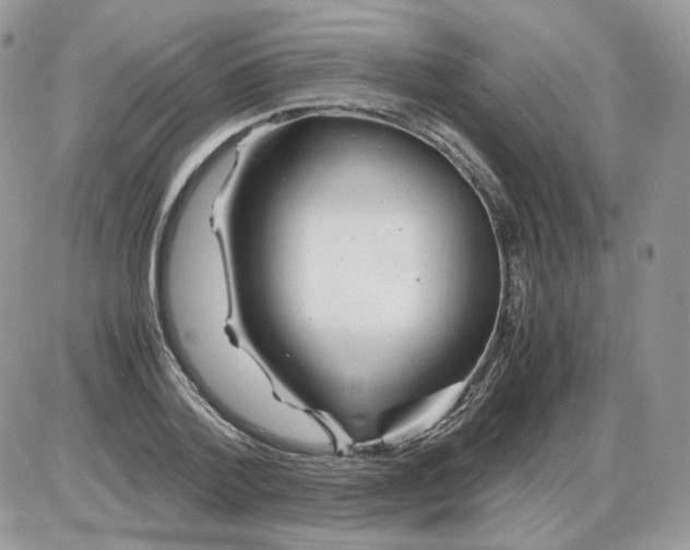 X0000086090788200704202215