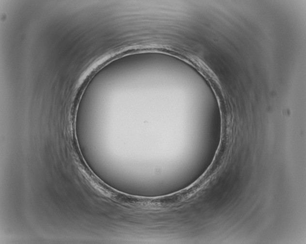 X0000086090789200704202215