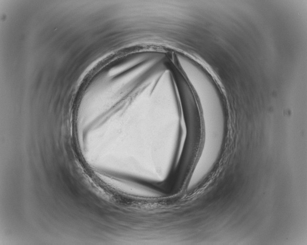 X0000086090791200704202215