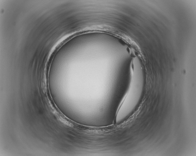 X0000086090792200704202215