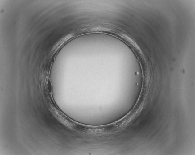 X0000086090793200704202215