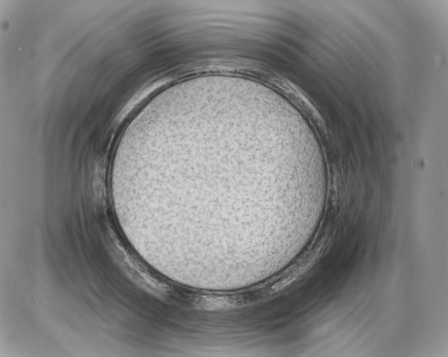 X0000086090794200704202215