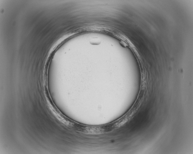 X0000086090795200704202215