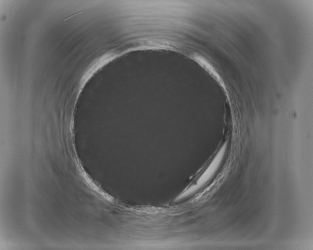 X0000086090797200704202215