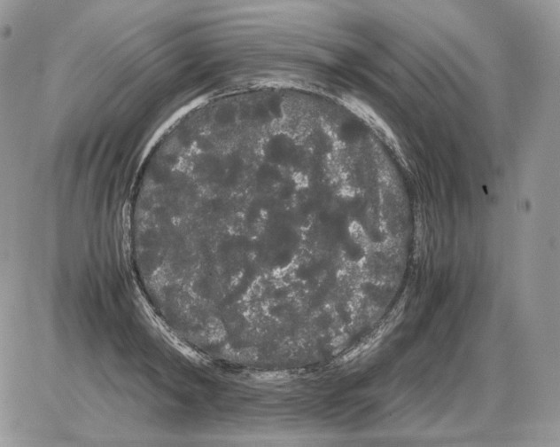 X0000086090798200704202215