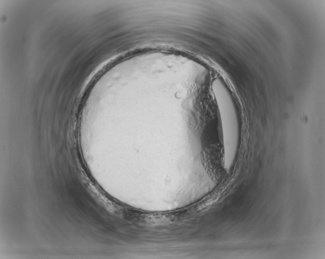 X0000086090799200704202215