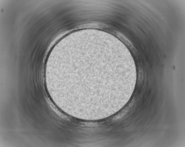 X0000086090800200704202215