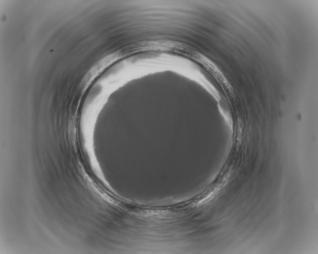 X0000086090802200704202215