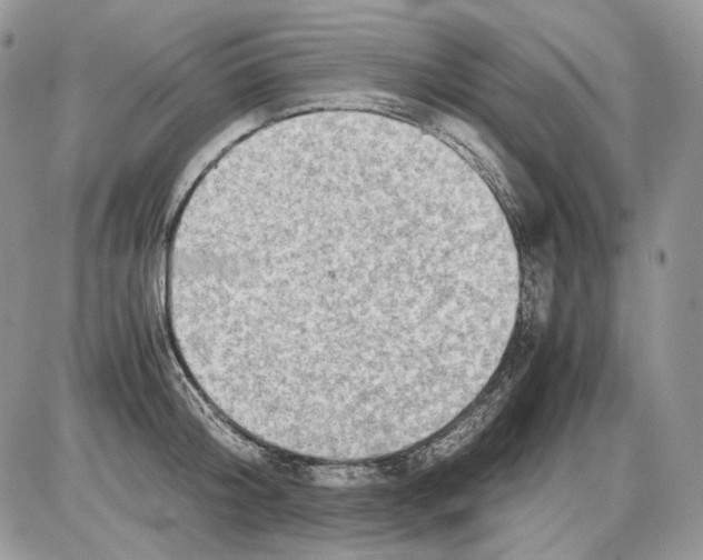 X0000086090804200704202215