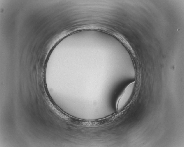 X0000086090805200704202215