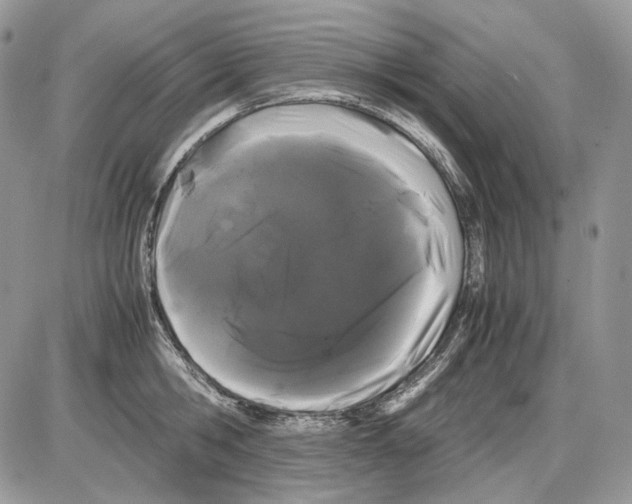 X0000086090806200704202215