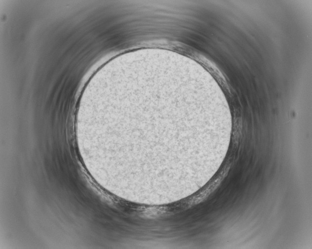 X0000086090808200704202214