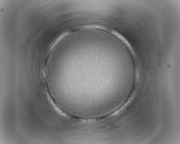 X0000086090809200704202214