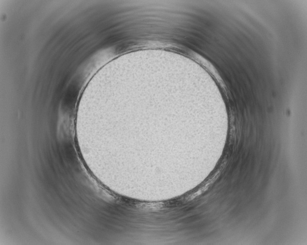 X0000086090810200704202214