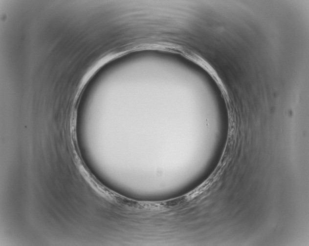 X0000086090811200704202214