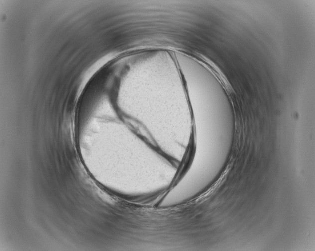 X0000086090812200704202214