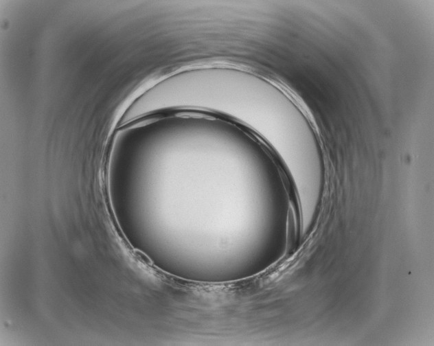 X0000086090813200704202214