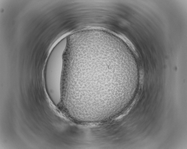 X0000086090814200704202214