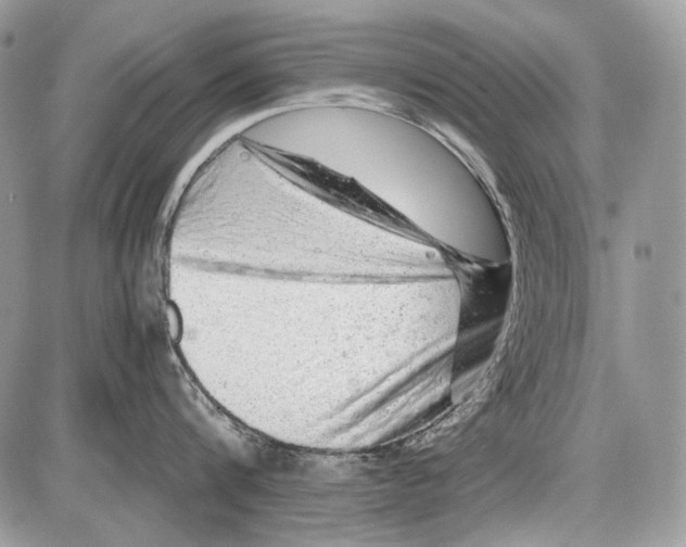 X0000086090816200704202214