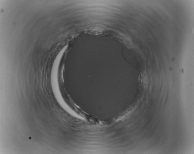 X0000086090818200704202214