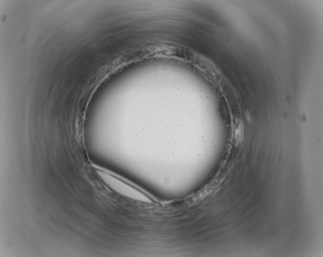 X0000086090819200704202214