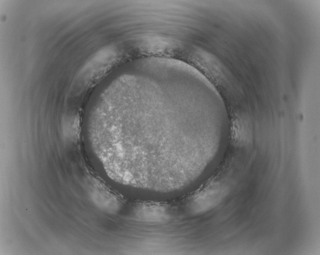 X0000086090820200704202214