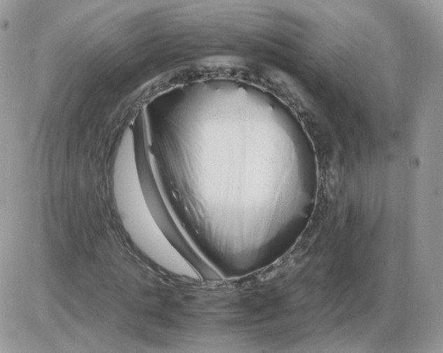 X0000086090821200704202214