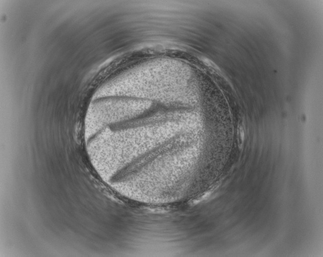 X0000086090822200704202214