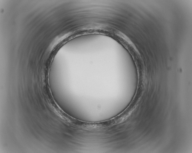 X0000086090826200704202214