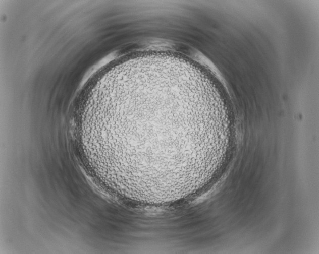 X0000086090827200704202214