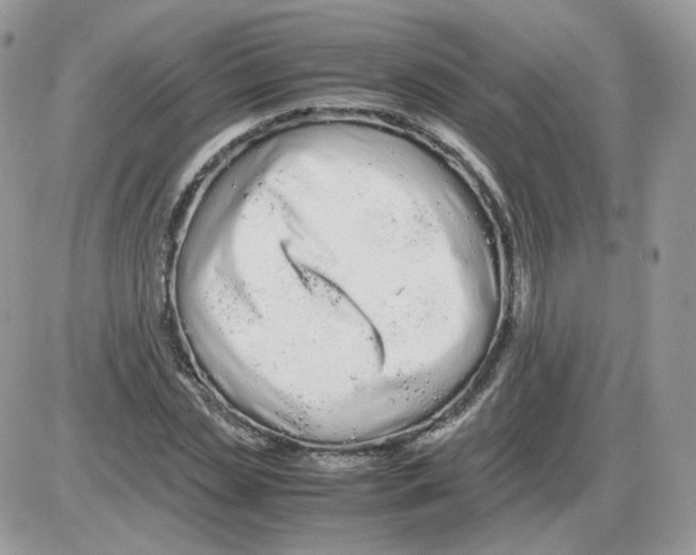 X0000086090829200704202214