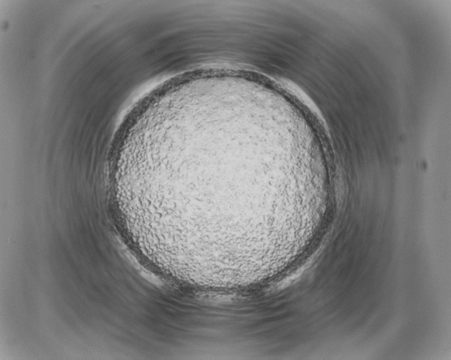 X0000086090831200704202214