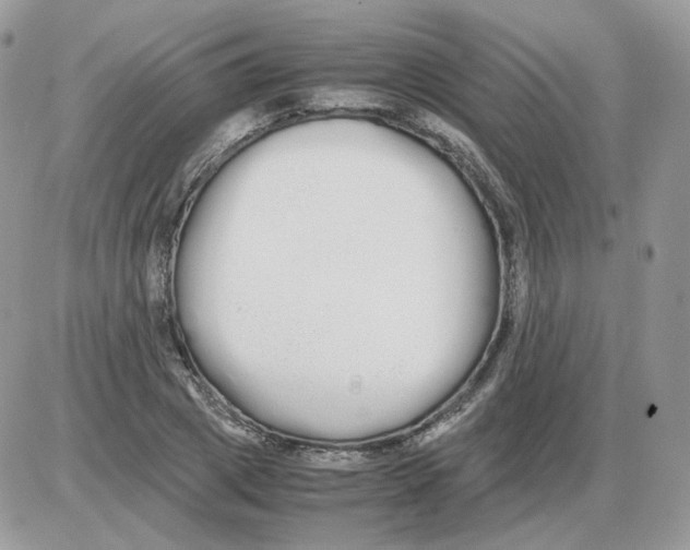 X0000086090833200704202214