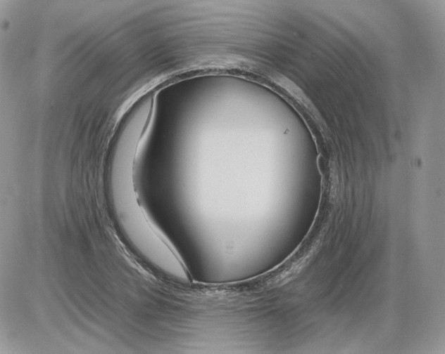 X0000086090834200704202214