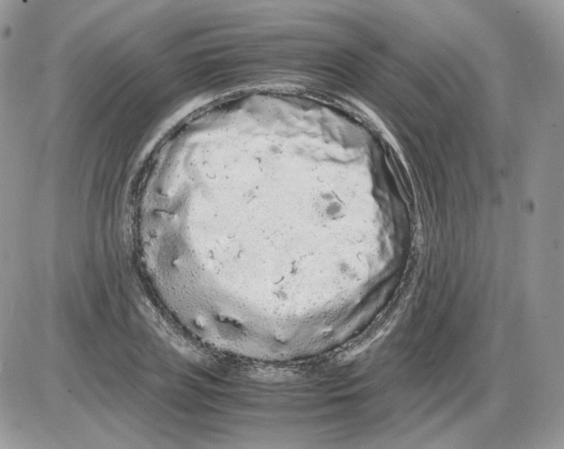 X0000086090835200704202214