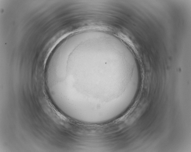 X0000086090836200704202214