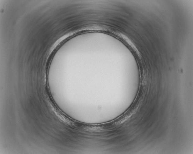 X0000086090837200704202214