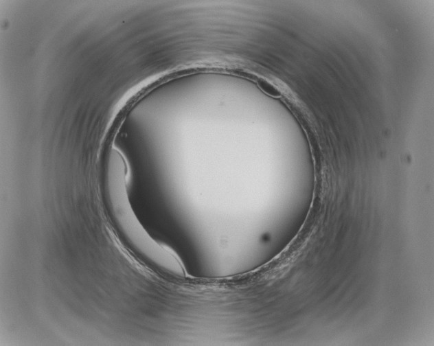 X0000086090838200704202214